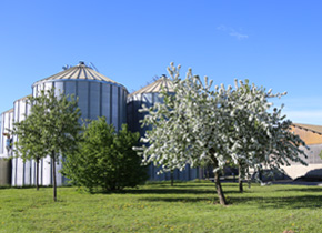 Gesunde Nahrungsmittel